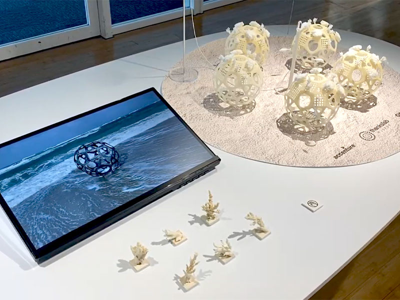 「世界デザイン会議」プレイベントにおいて『里海珊瑚プロジェクト』の取り組みを展示