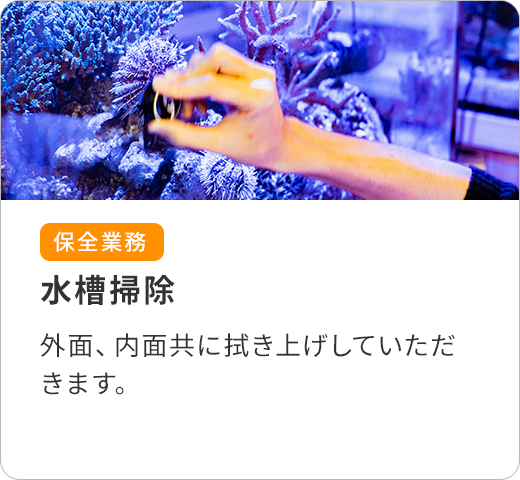 水槽の掃除