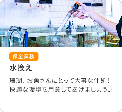 水換え