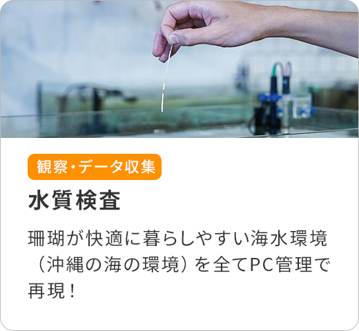 水質検査