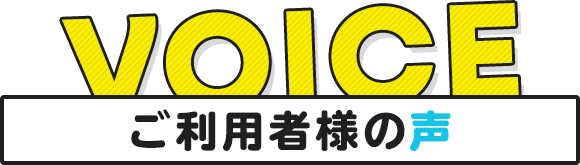 voice